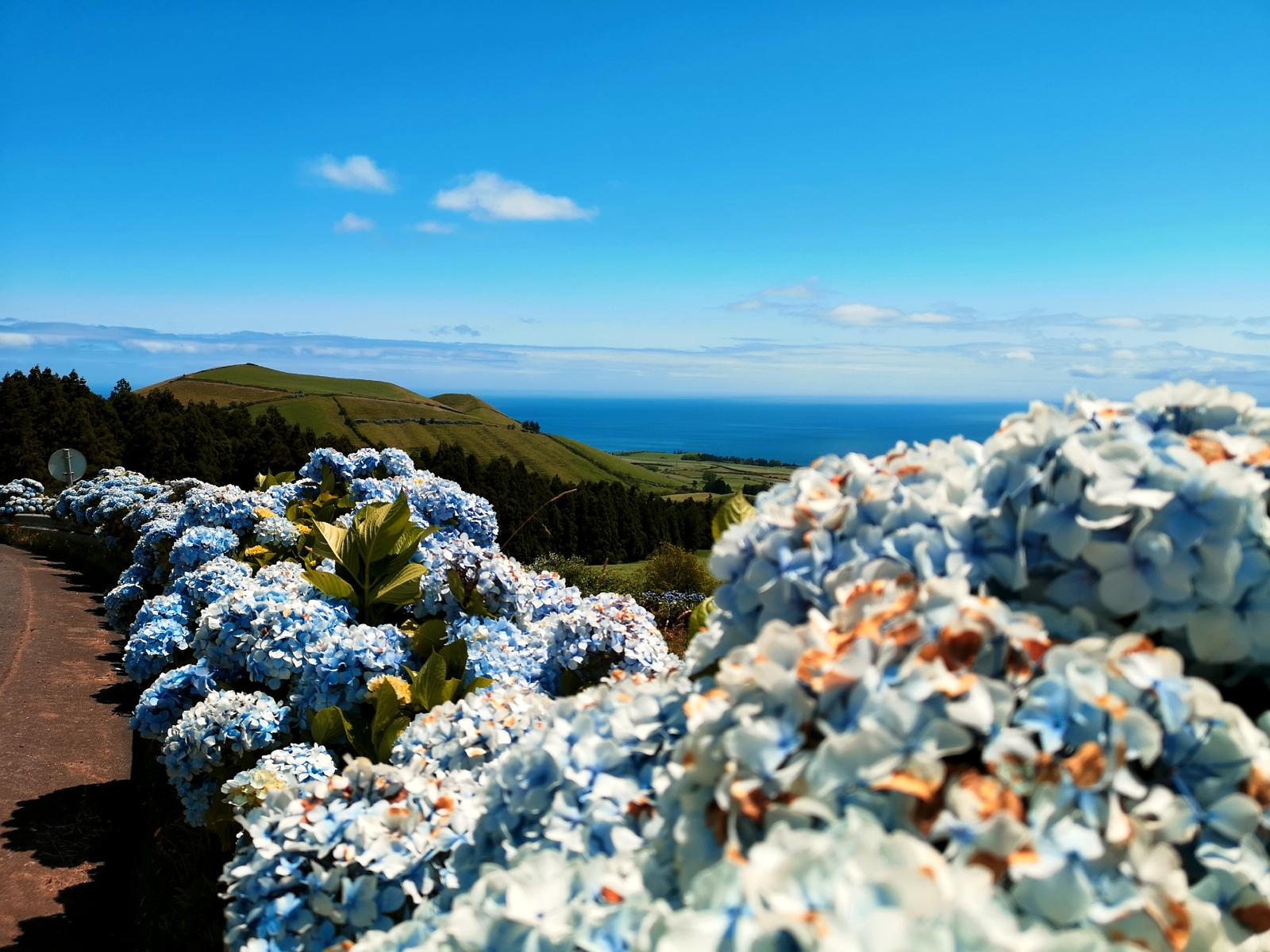 Les routes des Açores