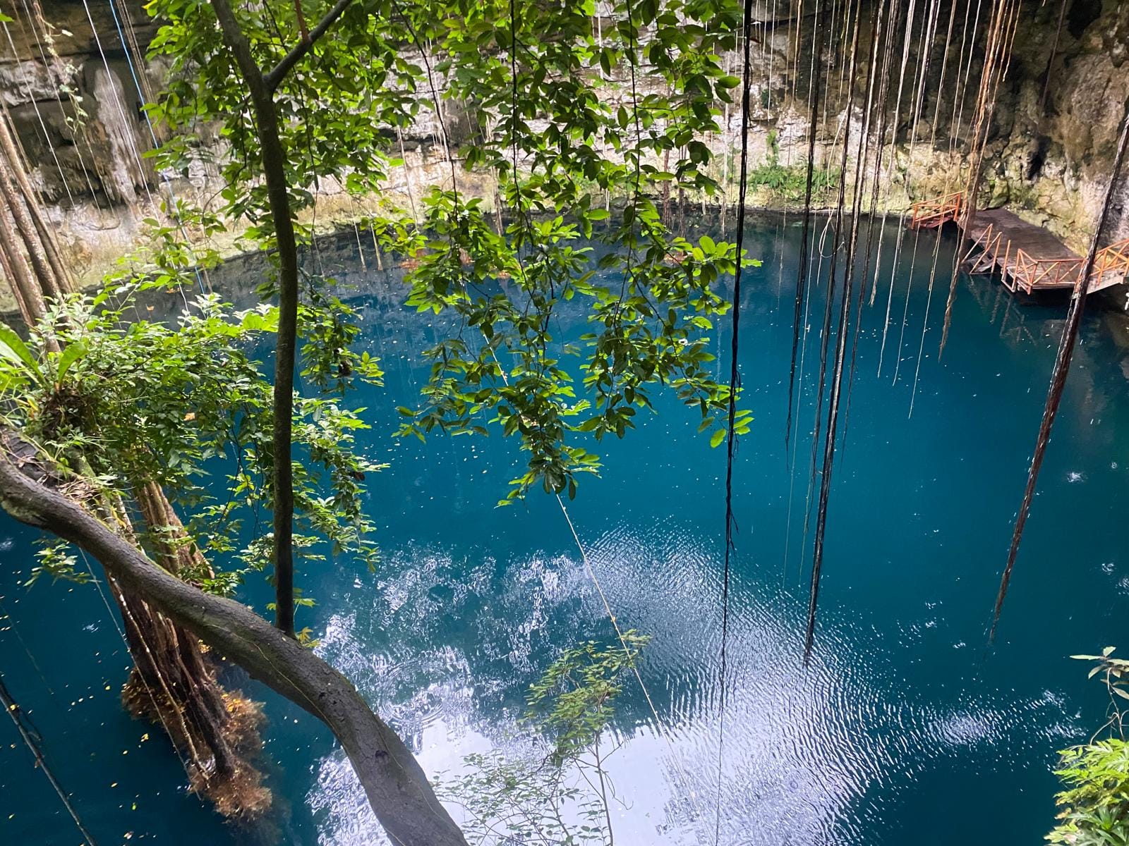 Baignade dans un cénoté au Mexique, une destination idéale où partir en janvier avec Laudyssée.