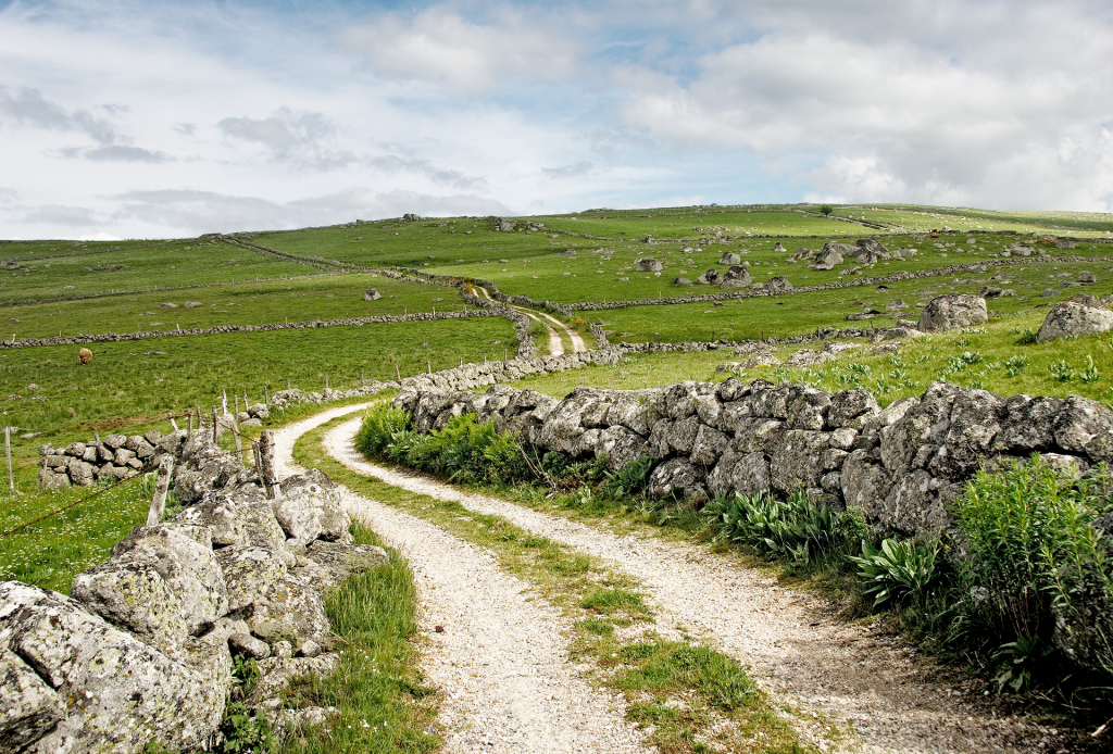 Paysage des hauts plateaux d'Aubrac type Écosse par Laudyssée