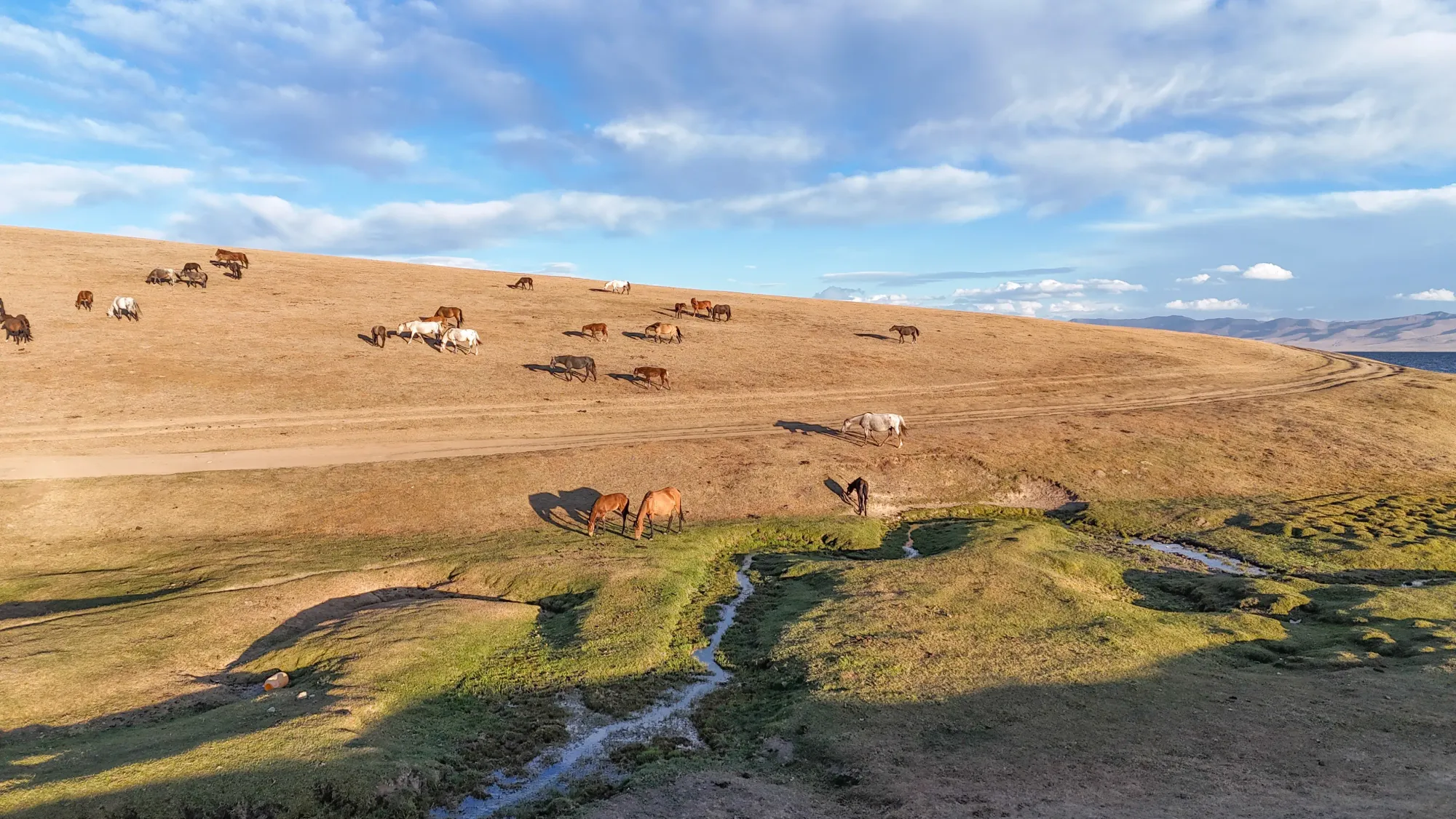 Les steppes du Kirghizistan