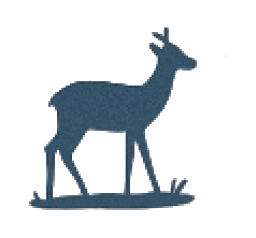 Illustration appel découverte